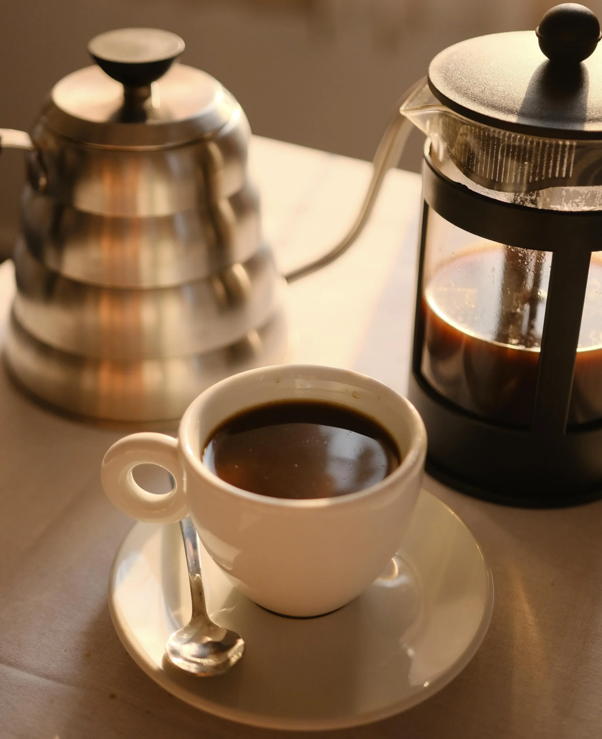 Specialty Coffee Brewing Workshop